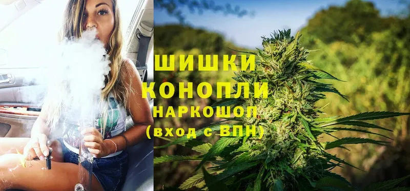 магазин продажи наркотиков  Лыткарино  ссылка на мегу маркетплейс  Конопля OG Kush 